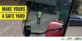 Make Yours a Safe Yard - NFU