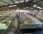 assistant-herdsperson-central-sussex-jpweb2848 image