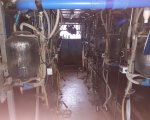 herdsperson-bath-somerset-soweb2859 image