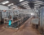 milker-north-dorset-soweb2868 image